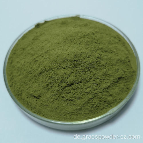 Bio -Alfalfa -Grassaftgrün -Pulver